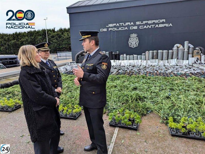 Aprehenden 113 kilos de marihuana en Torrelavega y Liébana, valorados en más de 427.000 euros.