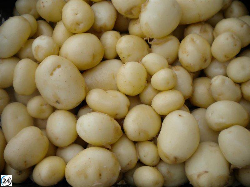 Clienta agredió a la vendedora por cuestionar el hurto de patatas.