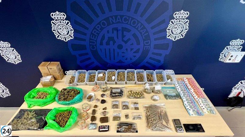 Desarticulan red de narcotráfico en asociación cannábica de Santander; cuatro arrestos.