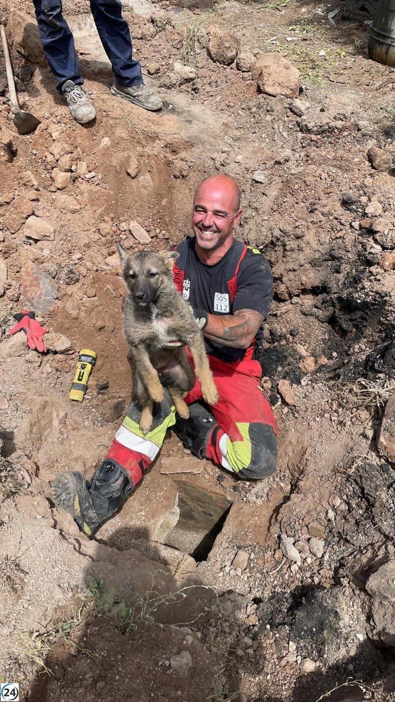 Bomberos salvan a un perro atrapado en una tubería de la carretera tras intensas labores.