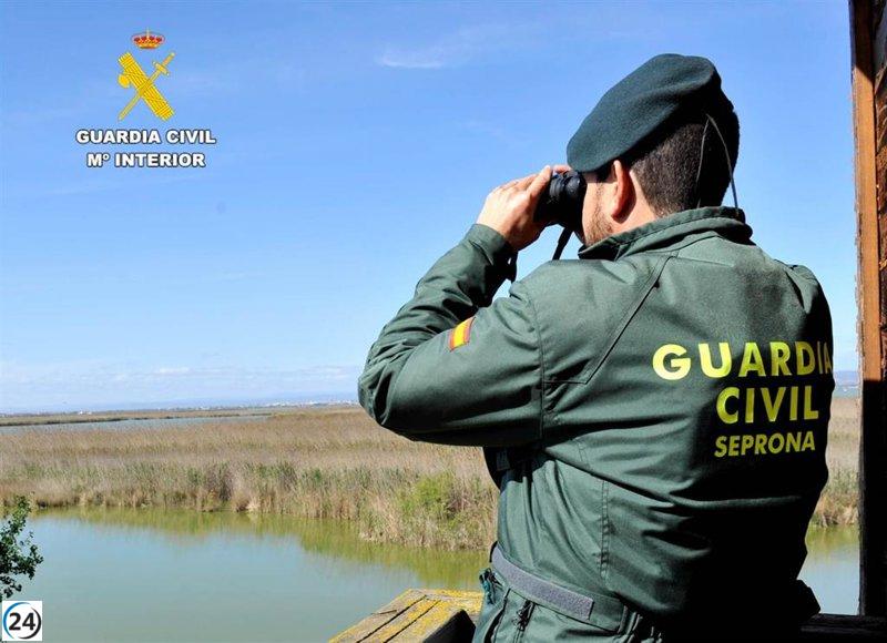 Dos sospechosos bajo investigación por dañar nidos y matar crías de aves en peligro.