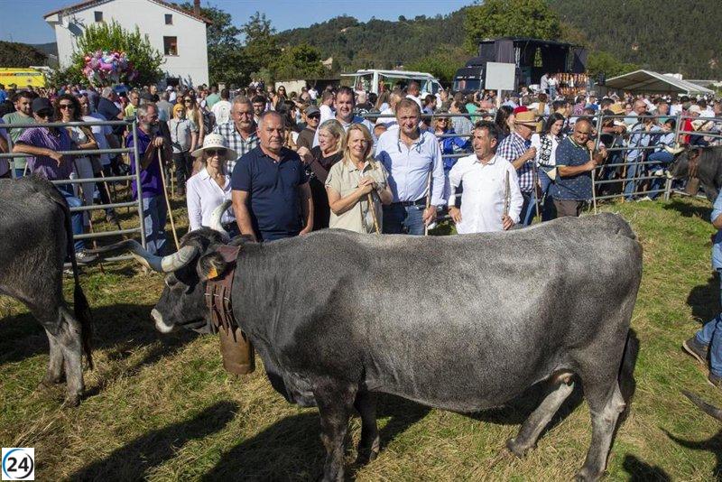Susinos aplaude el gran triunfo de la Olimpiada del Tudanco en Cabezón de la Sal, con miles de asistentes.