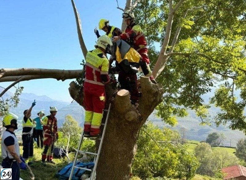 Hombre herido en un árbol en Ruesga tras accidente al talar.