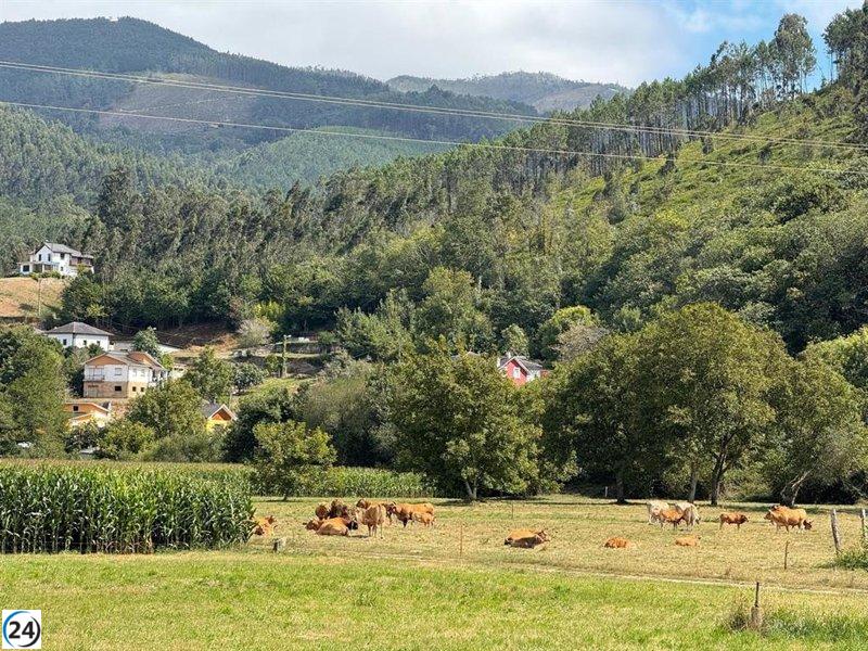 Cantabria autoriza el traslado de ganado desde el 5, pero pospone ferias hasta el 31.