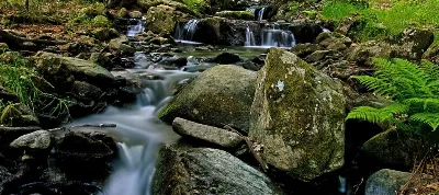 La importancia de las reservas naturales de Cantabria