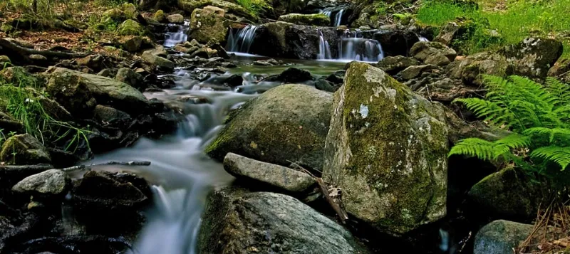 La importancia de las reservas naturales de Cantabria
