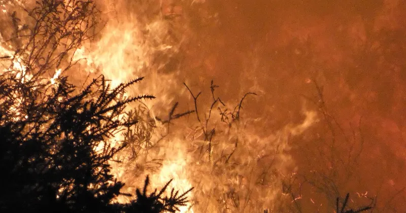 Los incendios forestales en Cantabria y su impacto ambiental